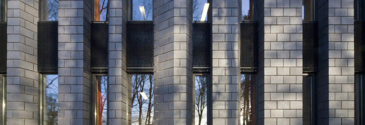 Juvenile_living_windows