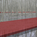 05_riparian_forest_thumb