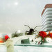 Media-square-in-wintertime_thumb