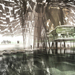 Beva_plantady_dubai_c_thumb