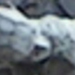 Pantani_crop_thumb