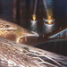 01_notturno_thumb