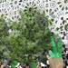 Teheran_thumb
