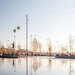 Max_tomasinelli_02_thumb