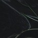 Alghe_thumb