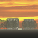 Fhs_viacenni_v27_notte05_v06big_thumb