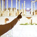3_thumb