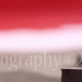 Img_5844_thumb