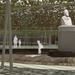 View_of_the_green_structures_thumb