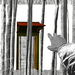 Doorfinal_2_thumb