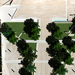 25_prova2_copia_thumb