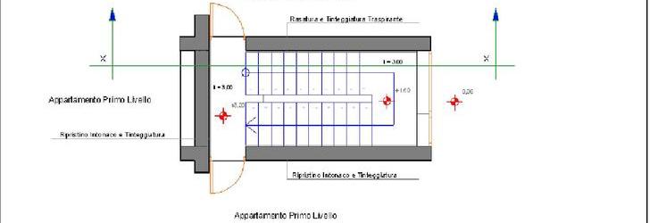 Intervento_pianta