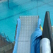 Dsc00633_thumb