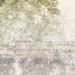 Canossa_09_thumb