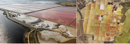 Saline