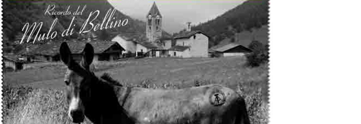 Ricordo_del_mulo_di_bellino1