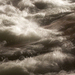 100_0501_thumb