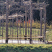 Gazebo_thumb