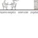 Diapositiva1_thumb