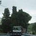 Snv81411r_thumb