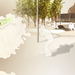 Plani1_thumb