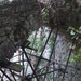 Snv81592rr_thumb