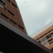 Dsc_5627_thumb