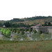 Arnaldo_montacuti_____conad____vista_dalle_clarisse_thumb