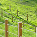 01_vista_generale_thumb