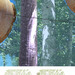 Scheda_n9_thumb