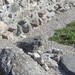 Barro01_thumb