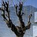 Ka_070404-02-1_thumb