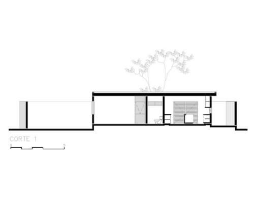 Corte-1_large