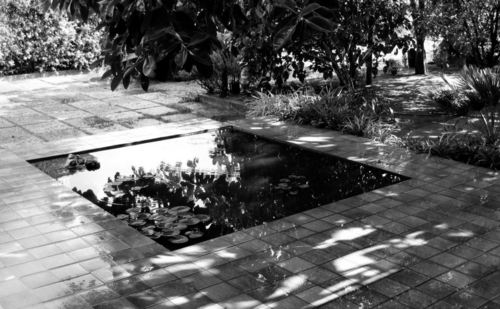 Nera_large