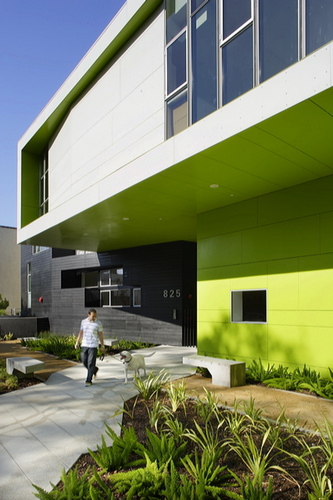 Photo12_large