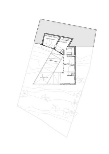 Planta--2_large