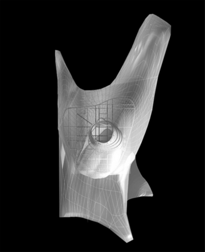Wireframe_withe_copy_large