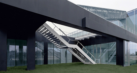 Cca21_normal