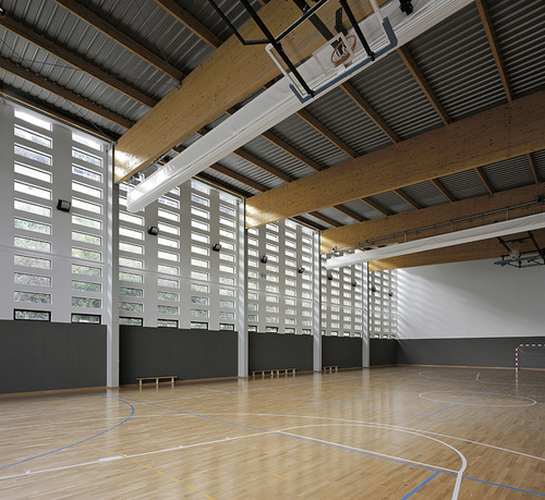 Plp11_large