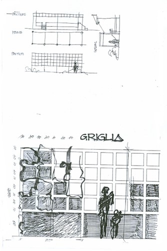 Ara_2_large