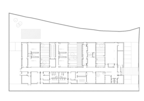 Planta-200_large