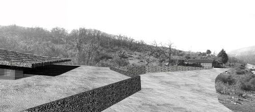 011_large