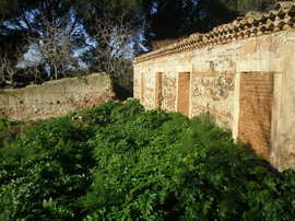 P2010103_normal