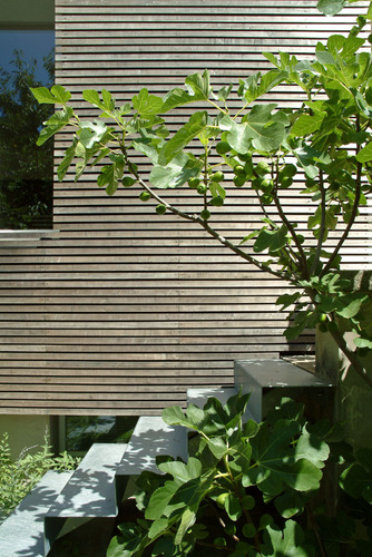 Ext-escalier-bois_1_large