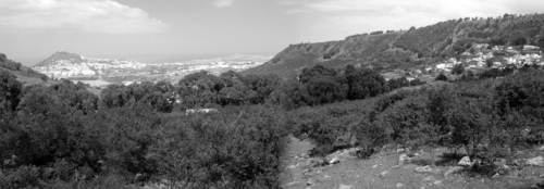 El_lugar_bn_large