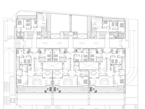 Planta__large