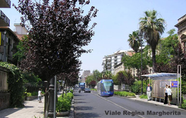 Viale_regina_margherita_normal