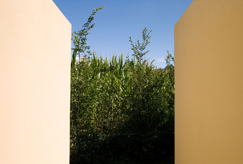 Corso_4_large