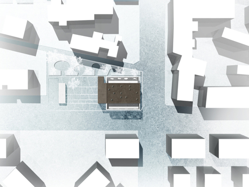 080313_vrd_plm_large