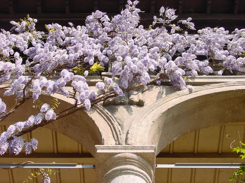 Dsc00068_large